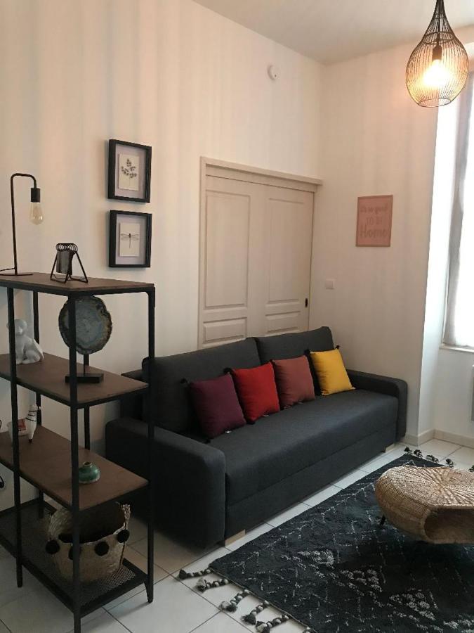 Bord De Tarn Apartment Albi Ngoại thất bức ảnh